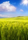 Art Beautiful Italy summer countryside landscape, green farmland over blue sunny sky