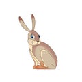 A beautiful jackrabbit Lepus californicus or American desert hare sits. Scene from wild. Cartoon character vector flat