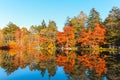 Beautiful Japan autumn at Kumoba Pond or Kumoba ike of Karuizawa ,Nagano Japan