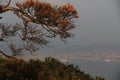 Beautiful Japanese autumn in Miyajima, Miyajimacho