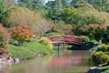 Beautiful japanese garden Royalty Free Stock Photo