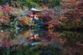 Beautiful Japanese garden in autumn season at world heritage Daigoji Temple Royalty Free Stock Photo