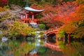 Beautiful japanese garden with colorful maple trees in autumn Royalty Free Stock Photo