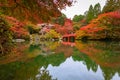 Beautiful japanese garden with colorful maple trees in autumn, Kyoto Royalty Free Stock Photo