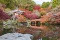 Japanese garden in autumn season, Kyoto, Japan Royalty Free Stock Photo