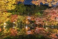 Japanese garden with colorful maple trees in Daigoji temple in autumn season, Kyoto, Japan Royalty Free Stock Photo