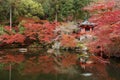Beautiful japanese garden with colorful maple trees in Daigoji temple in autumn season, Kyoto, Japan Royalty Free Stock Photo