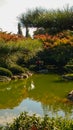 Beautiful Japanese garden in DÃÂ¼sseldorf