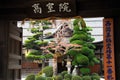 Beautiful Japanese garden gate Royalty Free Stock Photo