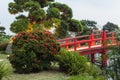 Beautiful Japanese Garden and red bridge. Royalty Free Stock Photo