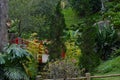 Beautiful japanese garden with red bridge Royalty Free Stock Photo