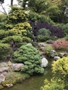 Japanese garden in San Francisco