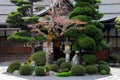 Beautiful Japanese garden