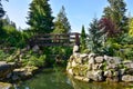 Beautiful Japanese garden, wonderful trees, plants, water and stones.