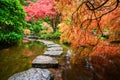 Beautiful Japanese maple trees in the Butchart Gardens Royalty Free Stock Photo