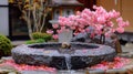Beautiful Japanese park, landscape with sakura blooming.,