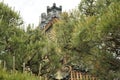 The beautiful Japanese pine are in front of the carved wooden roof of Ninomaru Palace at Nijo Castle. Royalty Free Stock Photo