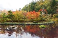 Beautiful Japanese pond. Red and green maple and pine trees reflecting in the water Royalty Free Stock Photo