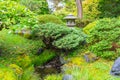 The Beautiful Japanese Tea Garden in Golden Gate park, San Francisco, California, USA Royalty Free Stock Photo