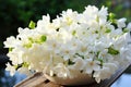 Beautiful jasmine flowers in bowl on table, closeup, White jasmine flowers fresh flowers natural, AI Generated