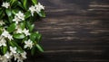 Beautiful jasmine flowers on dark wooden background, top view