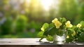 Beautiful jasmine flowers in glass vase on table outdoors