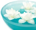 Beautiful Jasmine Flowers on Water in Bowl