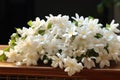 Beautiful jasmine flowers on a wooden shelf in the room, White jasmine flowers fresh flowers natural, AI Generated