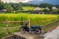 Beautiful Jatiluwih Rice Terraces against the background of famous volcanoes in Bali, Indonesia Royalty Free Stock Photo