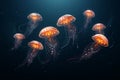 Beautiful jellyfish on dark background,sea underwater mine