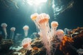 Beautiful jellyfish on dark background,sea underwater mine