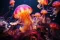 Beautiful jellyfish on dark background,sea underwater mine