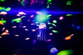 Beautiful jellyfish, medusa in the neon light with the fishes. Aquarium with blue jellyfish and lots of fish. Making an aquarium Royalty Free Stock Photo