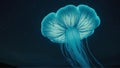 Beautiful jellyfish in the ocean at night. 3d rendering Royalty Free Stock Photo