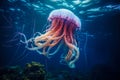 Beautiful jellyfish swimming in the deep blue sea. Underwater world. Royalty Free Stock Photo