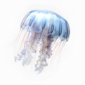 Beautiful jellyfish on a white background. Generated AI