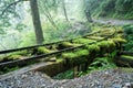 Beautiful Jianqing Jiancing historic trail, the forest railway of Taipingshan in Taiwan Royalty Free Stock Photo