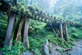 Beautiful Jianqing Jiancing historic trail, the forest railway of Taipingshan in Taiwan Royalty Free Stock Photo