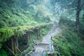 Beautiful Jianqing Jiancing historic trail, the forest railway of Taipingshan in Taiwan Royalty Free Stock Photo
