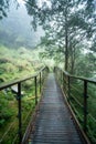 Beautiful Jianqing Jiancing historic trail, the forest railway of Taipingshan in Taiwan Royalty Free Stock Photo