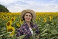 Beautiful joyful and smiling middle-aged farmer woman in a straw hat and shirt stands in a harvest field of sunflowers on a sunny Royalty Free Stock Photo