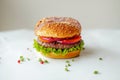 Beautiful juicy hamburger on a white background