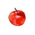 Beautiful juicy red apple isolated on white background. Watercolor illustration Royalty Free Stock Photo