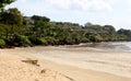 Beautiful jungle beach with blue ocean at Bali Indonesia with yellow sand and green forest in the back. Royalty Free Stock Photo