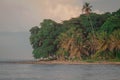 Beautiful jungle caribbean beach with nice surf close to Playa Cocles and Puerto Viejo in Costa rica. View towards the trees. hazy Royalty Free Stock Photo