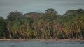 Beautiful jungle caribbean beach with nice surf close to Playa Cocles and Puerto Viejo in Costa rica. View towards the trees. hazy Royalty Free Stock Photo