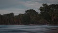 Beautiful jungle caribbean beach with nice surf close to Playa Cocles and Puerto Viejo in Costa rica. View towards the trees. hazy Royalty Free Stock Photo