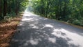 Beautiful jungle view road trees covers both side of road lonely road Royalty Free Stock Photo