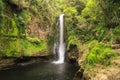 Beautiful Kaiate Falls in the Bay of Plenty, New Zealand Royalty Free Stock Photo