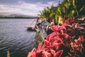 Beautiful Kampot river of Cambodia in Southeast Asia Royalty Free Stock Photo